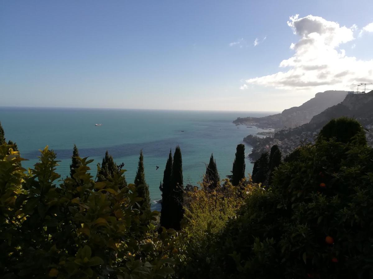 Monaco'S Cottage & Spa Roquebrune-Cap-Martin Eksteriør billede